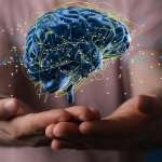 Neuropsicología: qué es, para qué sirve y cómo puede ayudarte.