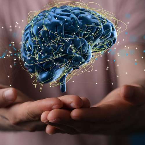 Neuropsicología